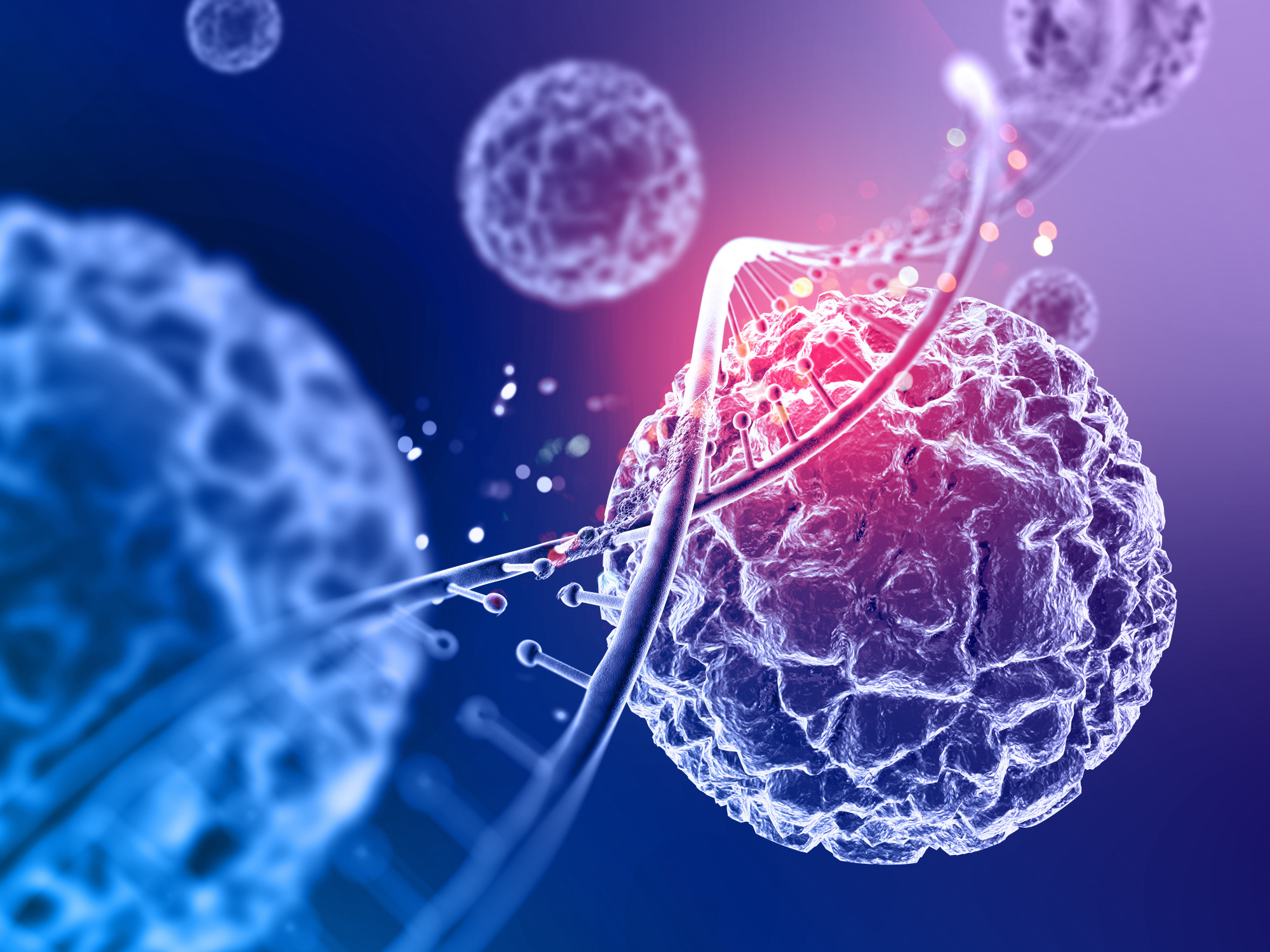 Wharton's Jelly stem cells